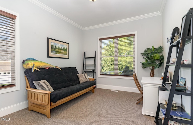 carpeted office space with baseboards and ornamental molding