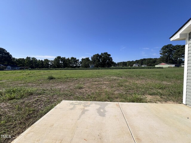 view of yard featuring a patio area