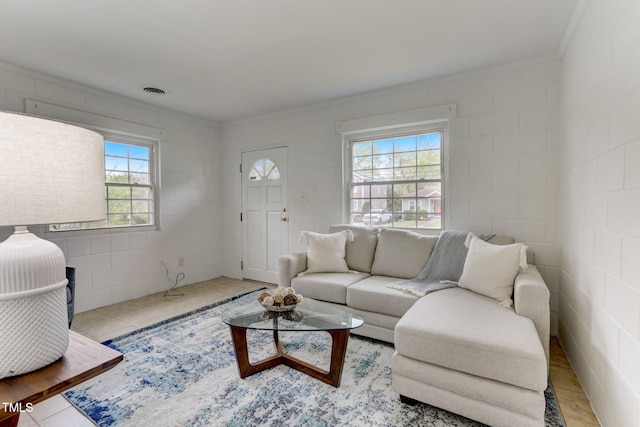 living room with plenty of natural light