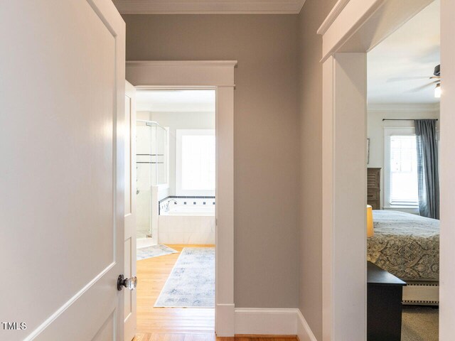 corridor featuring ornamental molding and light wood-type flooring