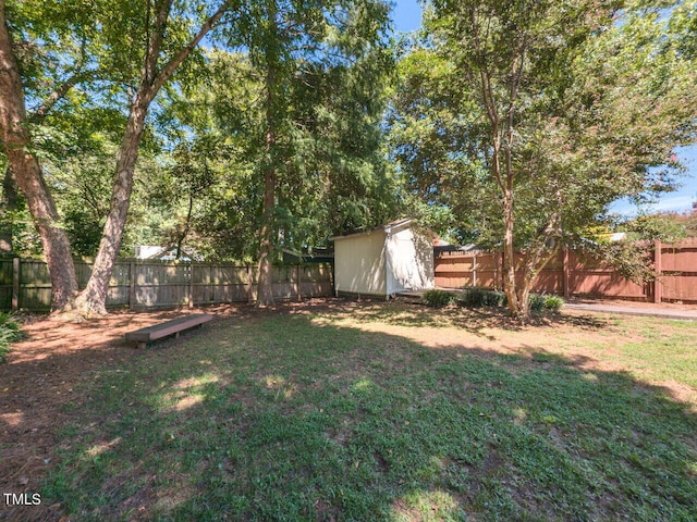 view of yard with a storage shed