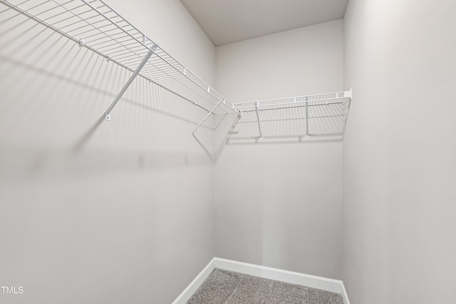 spacious closet featuring carpet flooring