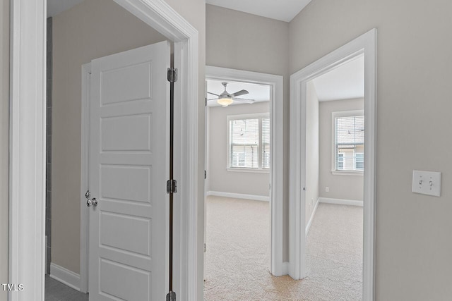 hall featuring baseboards and carpet flooring