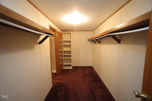 walk in closet with dark colored carpet