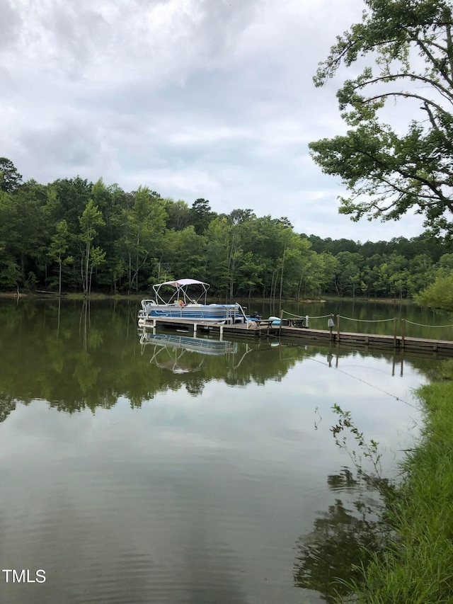 property view of water with a dock