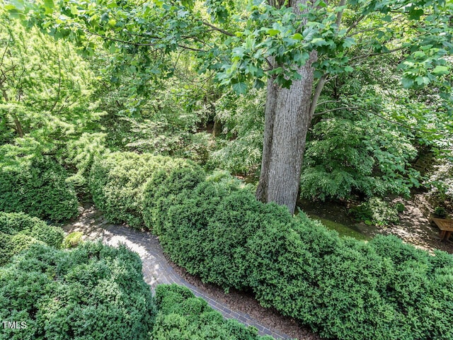 2501 Kenmore Dr, Raleigh, NC 27608 - view of landscape with a forest view