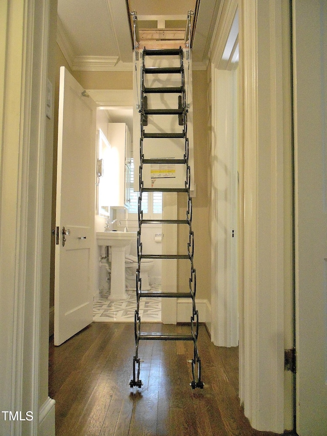 interior space with crown molding, hardwood / wood-style flooring, and radiator heating unit