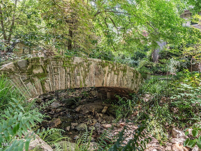 2501 Kenmore Dr, Raleigh, NC 27608 - view of nature