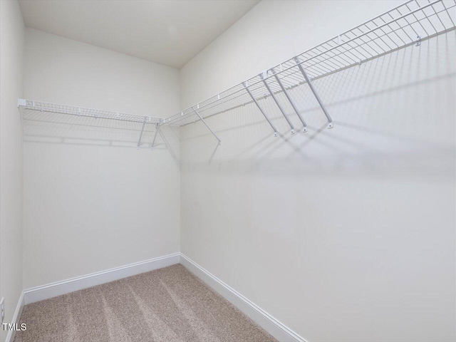 walk in closet with carpet