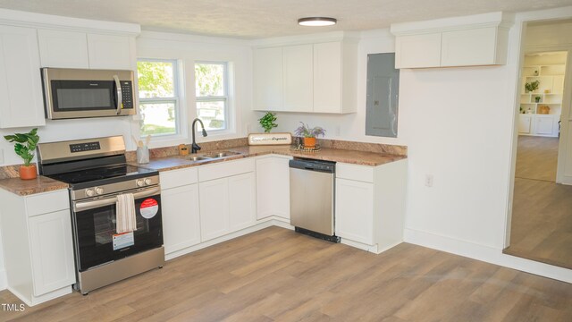 kitchen with light wood-type flooring, electric panel, stainless steel appliances, and white cabinets