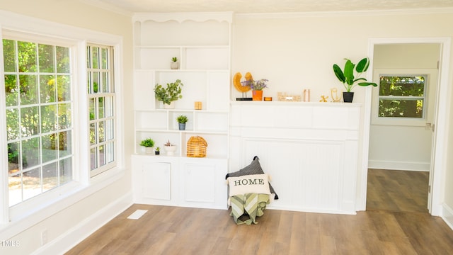 interior space featuring a wealth of natural light and hardwood / wood-style flooring