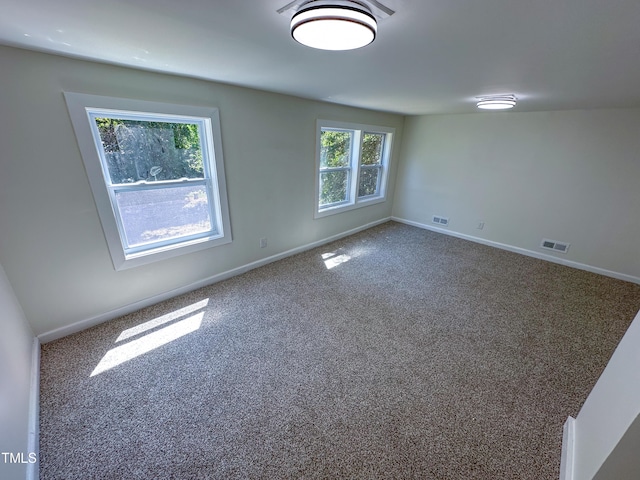 carpeted empty room with a wealth of natural light