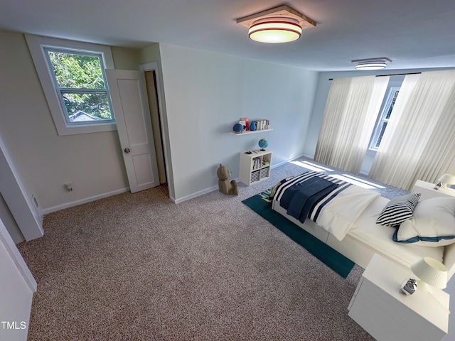 bedroom featuring carpet floors