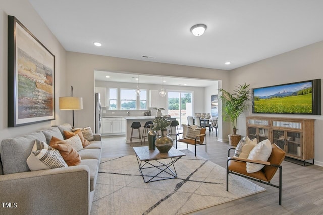 living room featuring light hardwood / wood-style flooring