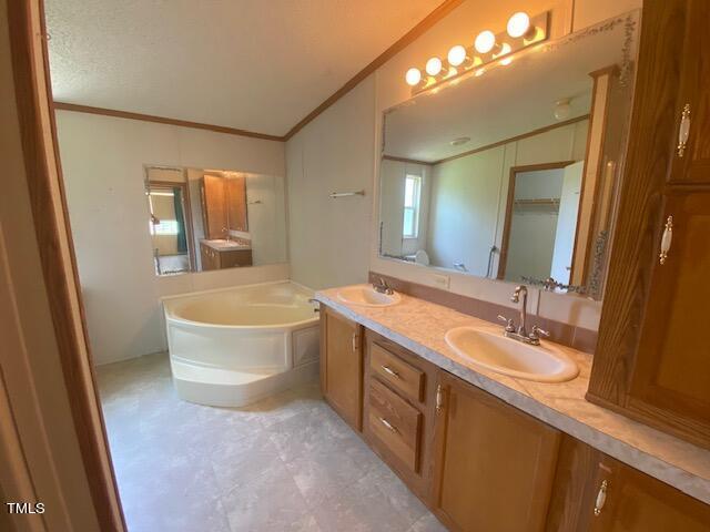 bathroom with crown molding, vanity, and a washtub