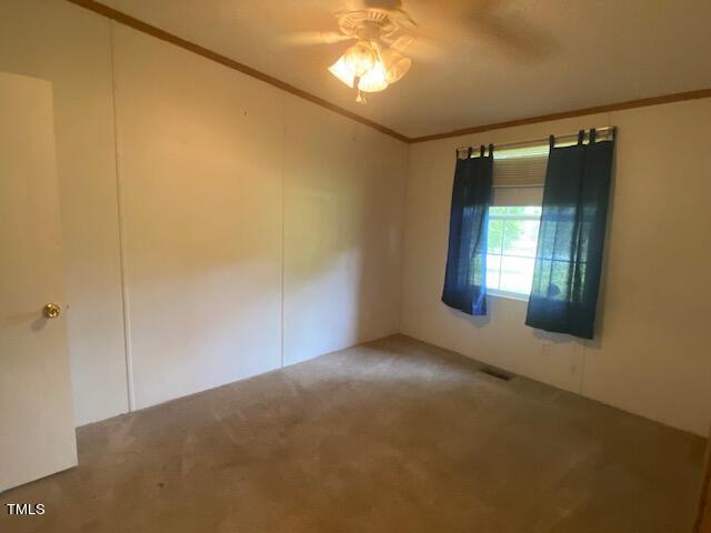 carpeted spare room featuring ceiling fan and crown molding