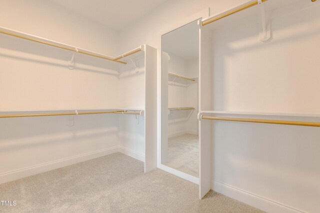 spacious closet featuring light colored carpet