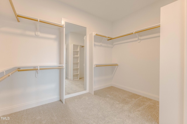 spacious closet with carpet floors