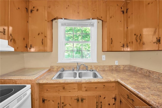 kitchen with ventilation hood, a healthy amount of sunlight, and sink