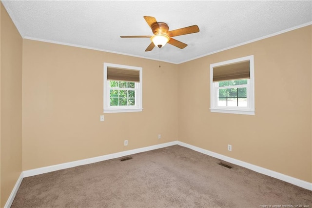 carpeted spare room with ceiling fan, a wealth of natural light, ornamental molding, and a textured ceiling