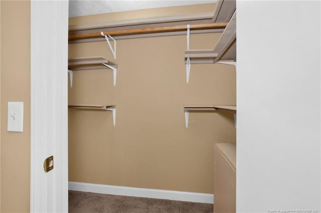 spacious closet with light colored carpet