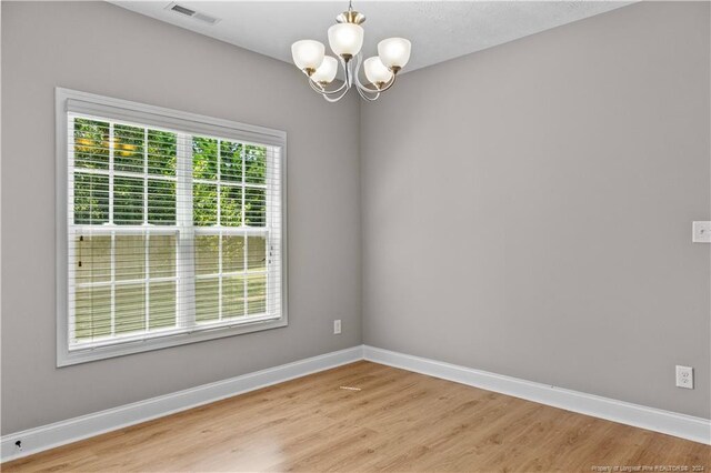 unfurnished room featuring light wood-type flooring and plenty of natural light