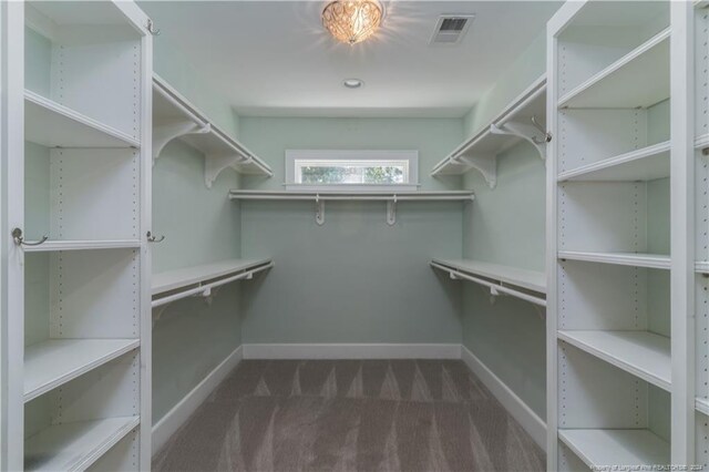 spacious closet with carpet