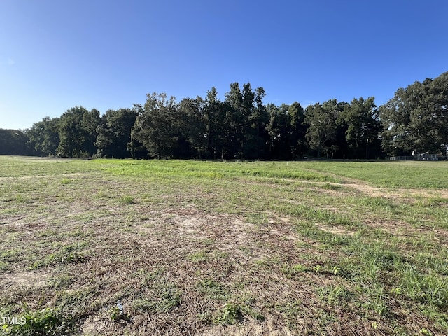 194 Lotus Ave, Smithfield, NC 27577 - view of yard featuring a rural view