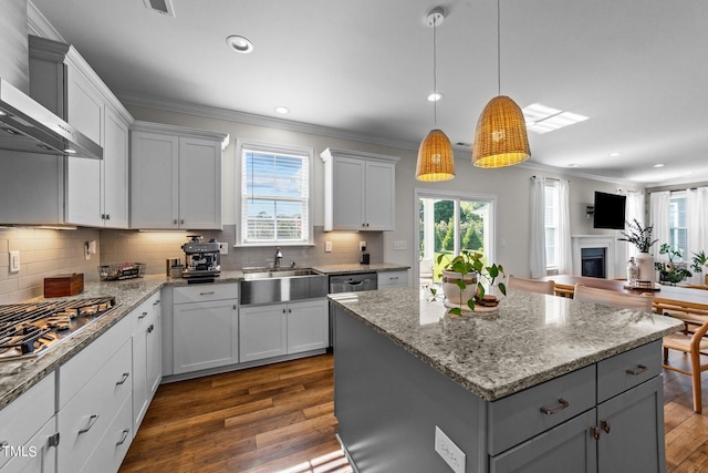 kitchen featuring white cabinets, a wealth of natural light, and dark wood-type flooring