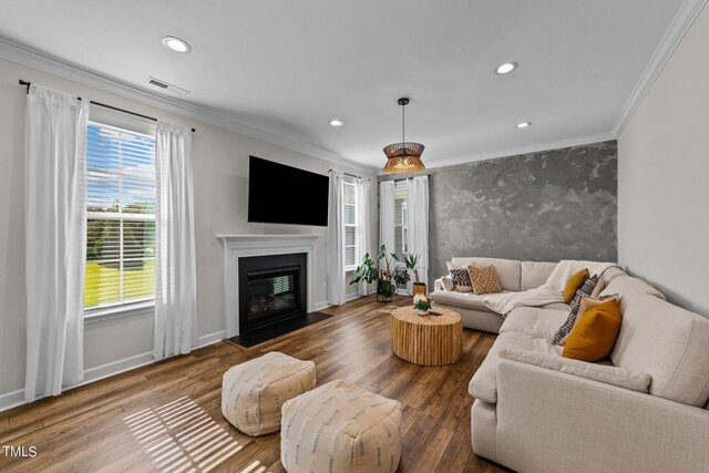 living room featuring ornamental molding and hardwood / wood-style floors