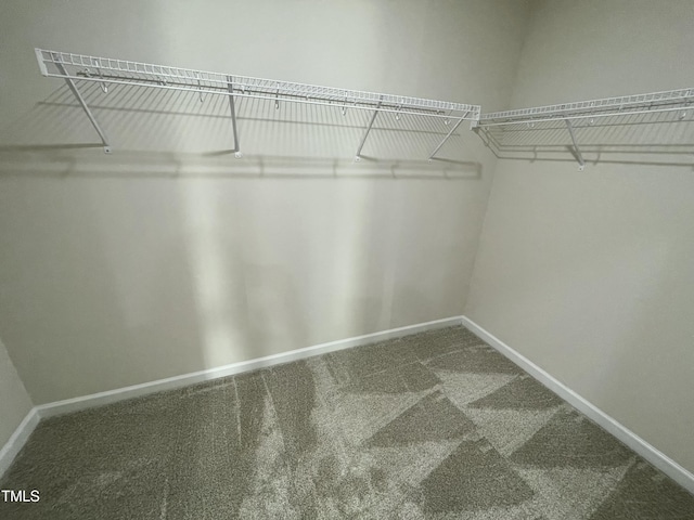 spacious closet with carpet flooring