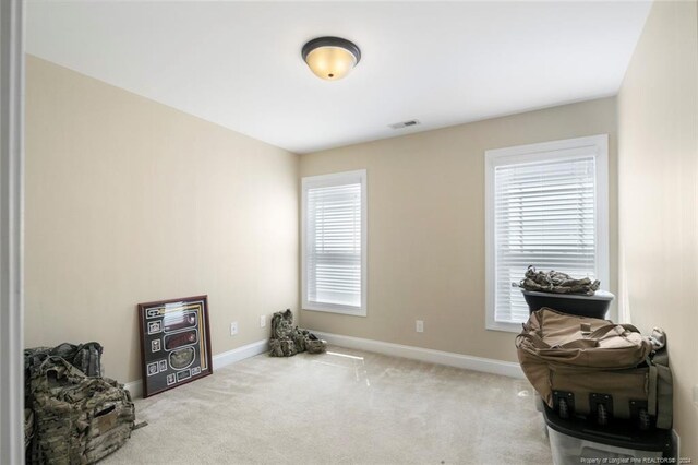 misc room featuring light carpet and a wealth of natural light