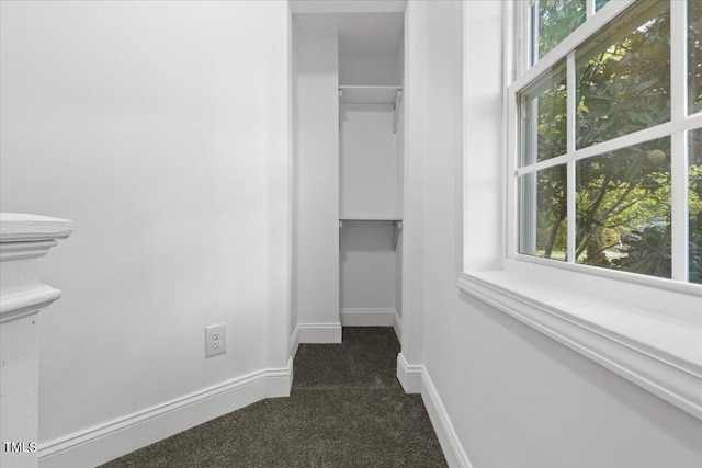 walk in closet featuring dark carpet