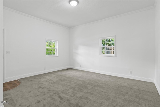 unfurnished room with ornamental molding and carpet flooring