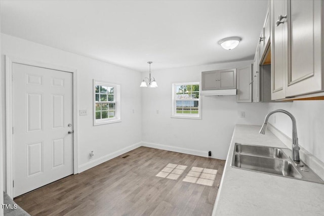 kitchen with gray cabinetry, plenty of natural light, sink, and hardwood / wood-style floors