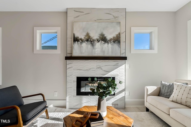 living room featuring light hardwood / wood-style floors and a premium fireplace