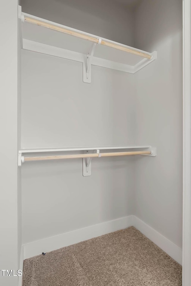 spacious closet featuring carpet