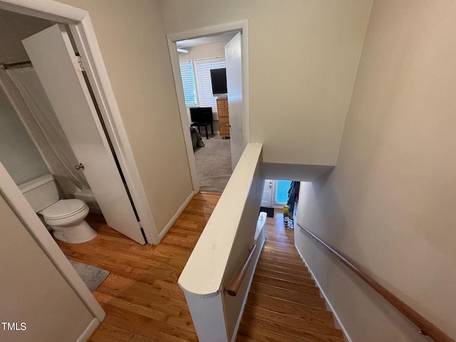 corridor featuring hardwood / wood-style flooring