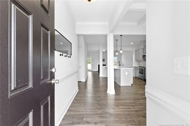 entrance foyer with crown molding and dark hardwood / wood-style floors