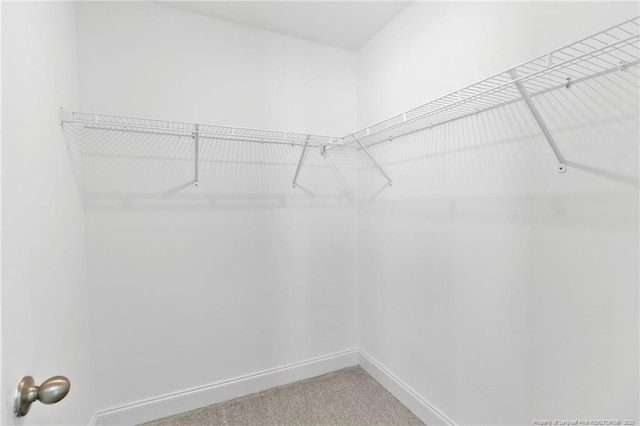 walk in closet with carpet floors