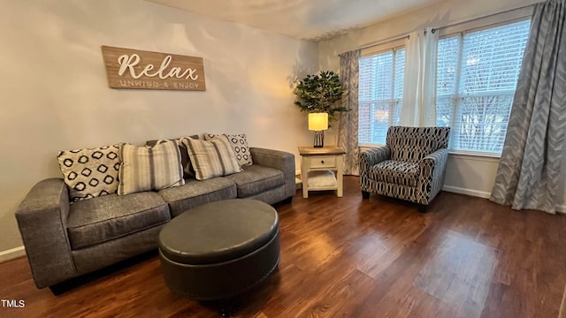 living room with dark hardwood / wood-style floors