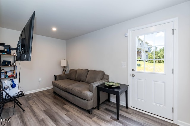 living room with wood-type flooring