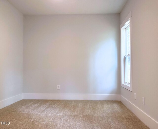 empty room featuring carpet