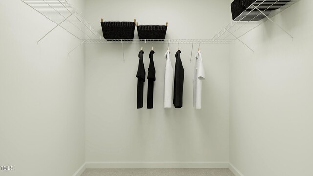 spacious closet featuring carpet flooring