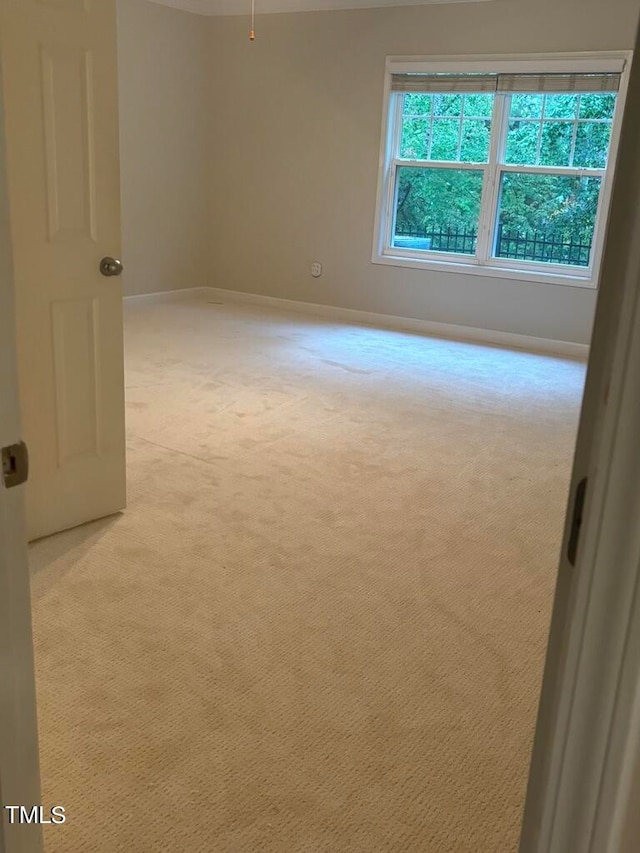 spare room featuring light carpet