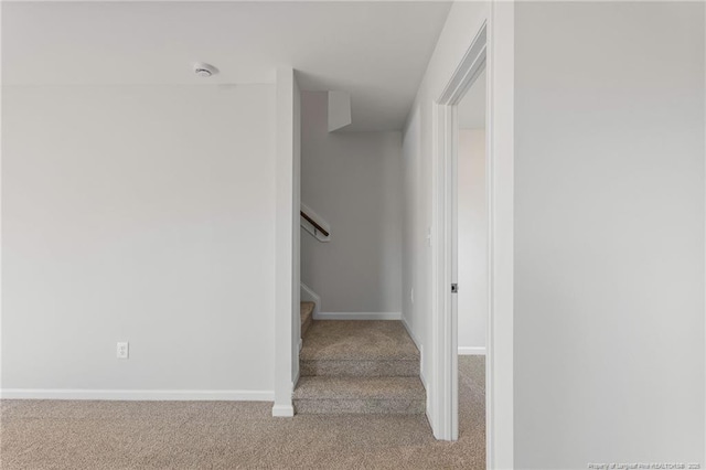 stairs featuring carpet floors