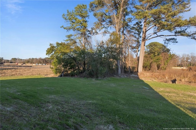 view of yard featuring a rural view