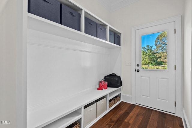 mudroom featuring dark wood-type flooring