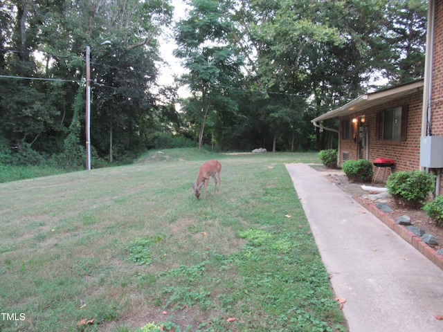 view of yard