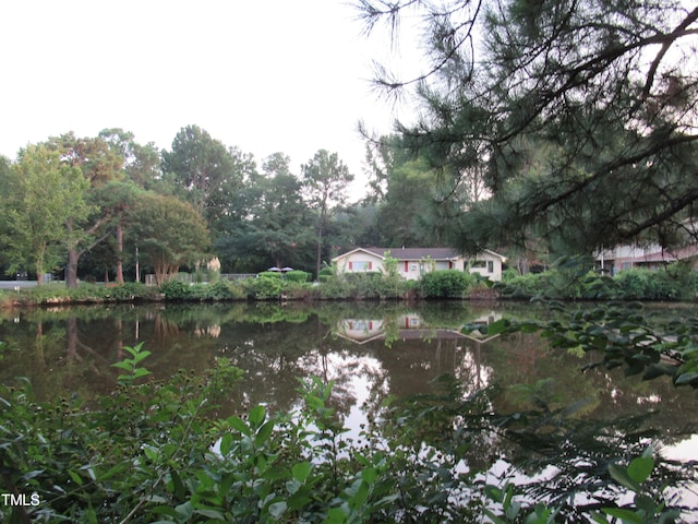 view of water feature